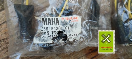 IMG_20230824_125031